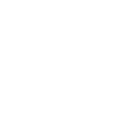 Search Engine Optimization in hyd